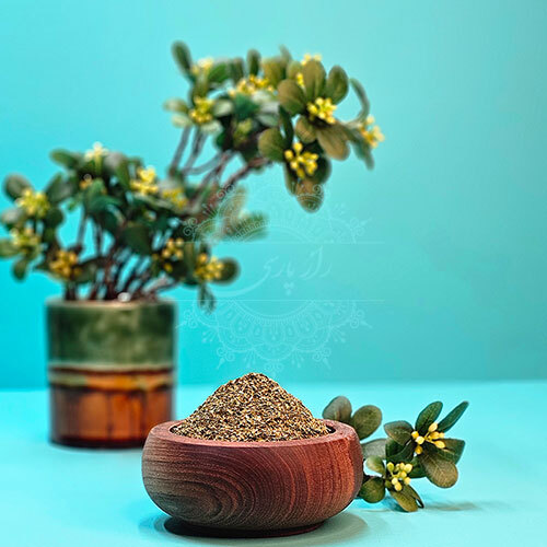  نعنا خشک راز پارسی 